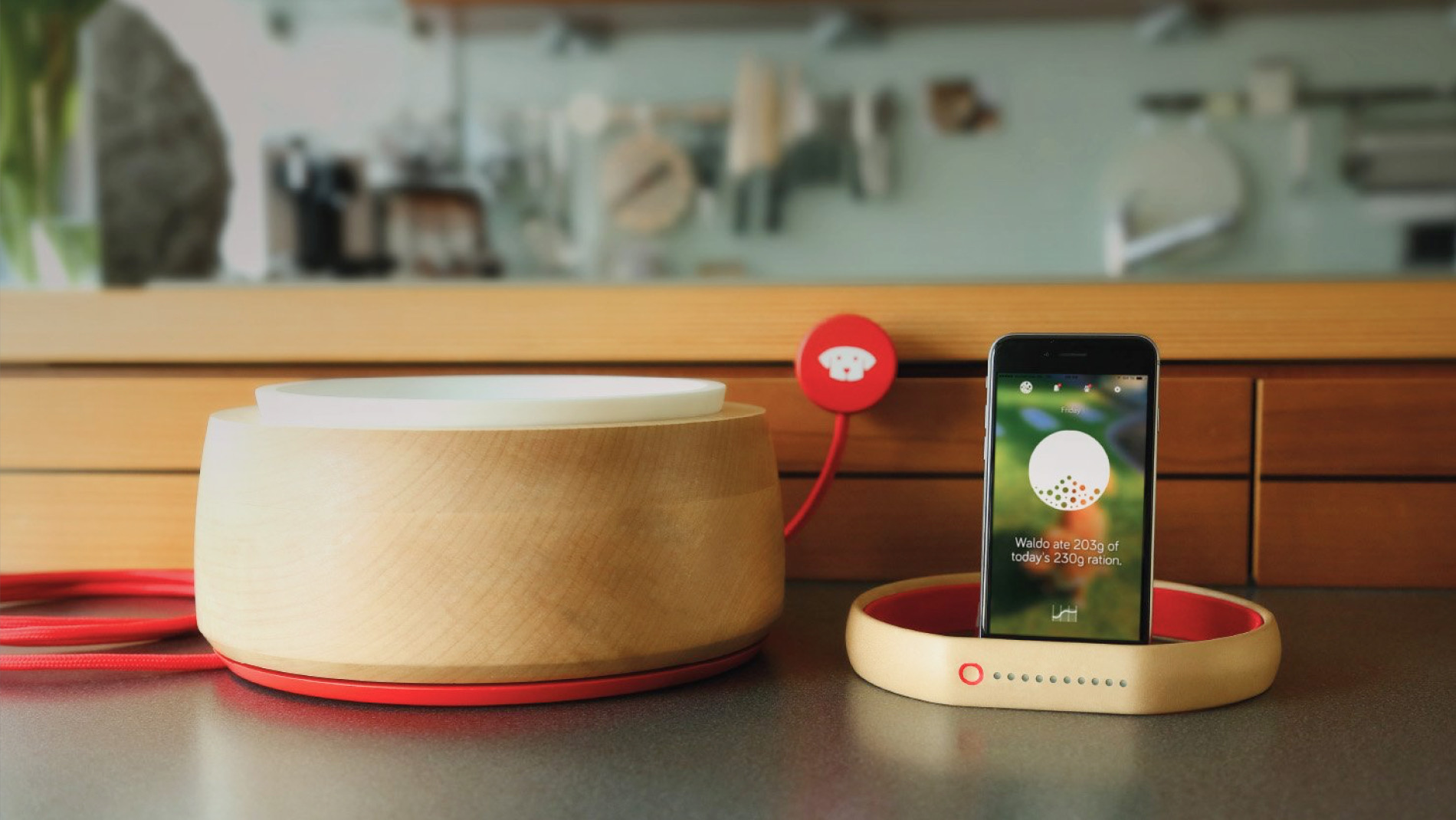 Fressnapf – SmartBowl